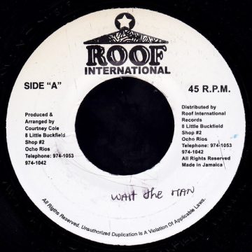 A Who Seh Me Dun (Wait De Man)