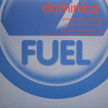 Gotta Let You Go (Remixes)