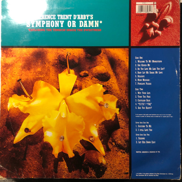 Terence Trent D'Arby's Symphony Or Damn (Exploring The Tension Inside The Sweetness) - Image 3
