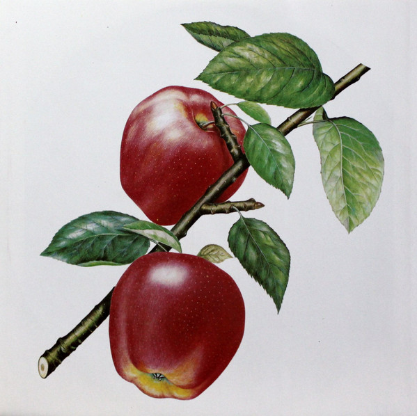 Undercover - Image 4