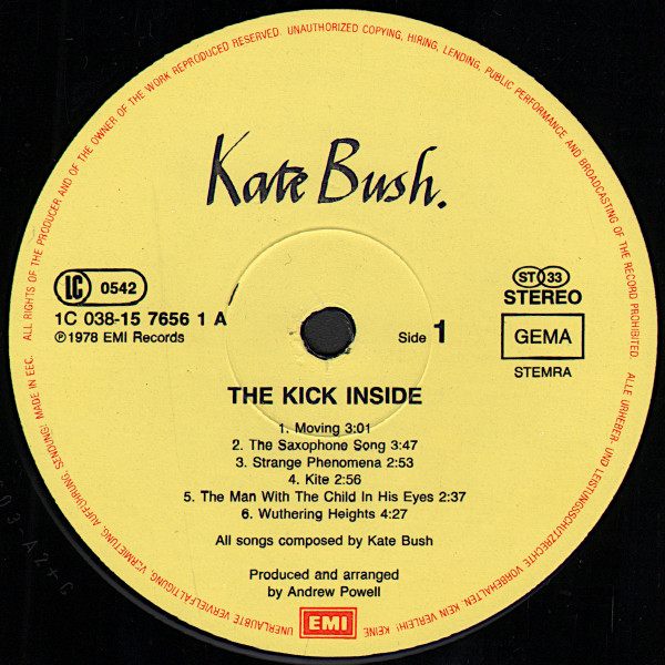 The Kick Inside - Image 4