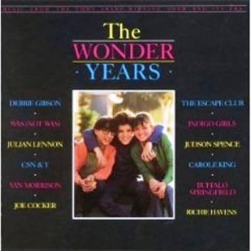 The Wonder Years (Music From The Emmy Award-Winning Show And Its Era)