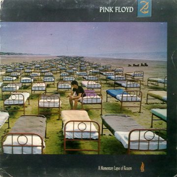 A Momentary Lapse Of Reason